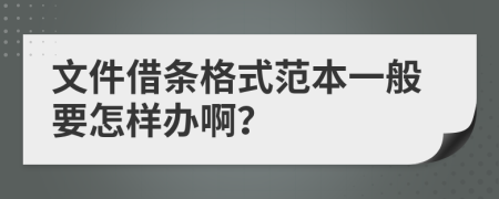 文件借条格式范本一般要怎样办啊？
