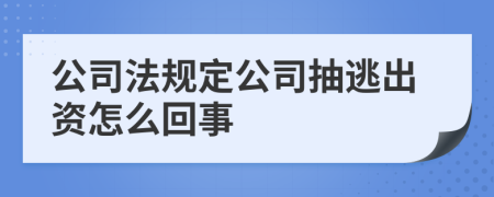 公司法规定公司抽逃出资怎么回事