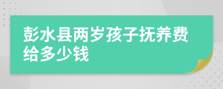 彭水县两岁孩子抚养费给多少钱