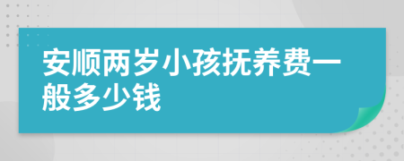 安顺两岁小孩抚养费一般多少钱