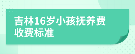 吉林16岁小孩抚养费收费标准