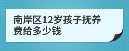 南岸区12岁孩子抚养费给多少钱