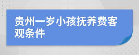 贵州一岁小孩抚养费客观条件