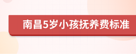 南昌5岁小孩抚养费标准