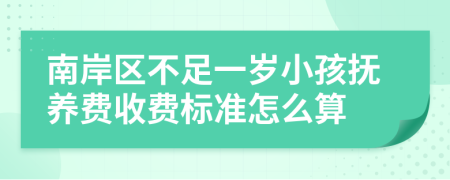 南岸区不足一岁小孩抚养费收费标准怎么算