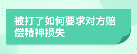 被打了如何要求对方赔偿精神损失