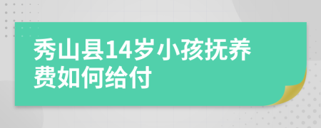 秀山县14岁小孩抚养费如何给付