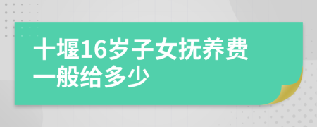 十堰16岁子女抚养费一般给多少