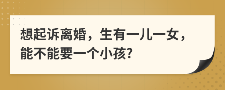 想起诉离婚，生有一儿一女，能不能要一个小孩?