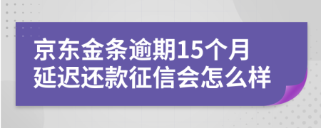 京东金条逾期15个月延迟还款征信会怎么样