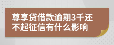 尊享贷借款逾期3千还不起征信有什么影响