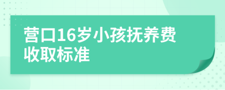 营口16岁小孩抚养费收取标准