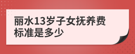 丽水13岁子女抚养费标准是多少