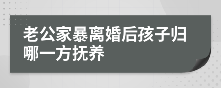 老公家暴离婚后孩子归哪一方抚养