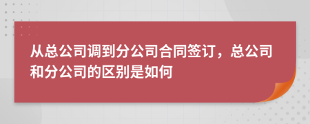 从总公司调到分公司合同签订，总公司和分公司的区别是如何