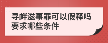 寻衅滋事罪可以假释吗要求哪些条件