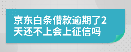 京东白条借款逾期了2天还不上会上征信吗