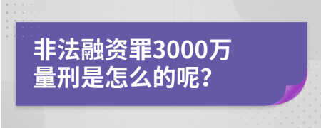 非法融资罪3000万量刑是怎么的呢？