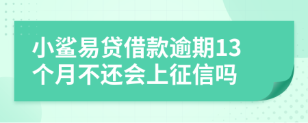 小鲨易贷借款逾期13个月不还会上征信吗