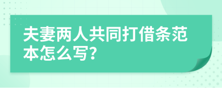 夫妻两人共同打借条范本怎么写？