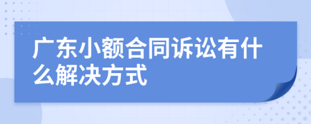 广东小额合同诉讼有什么解决方式