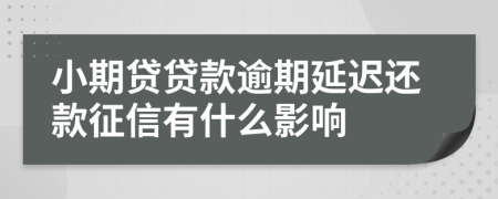 小期贷贷款逾期延迟还款征信有什么影响