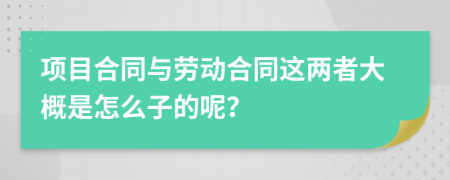 项目合同与劳动合同这两者大概是怎么子的呢？