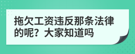 拖欠工资违反那条法律的呢？大家知道吗
