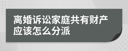 离婚诉讼家庭共有财产应该怎么分派