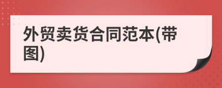 外贸卖货合同范本(带图)