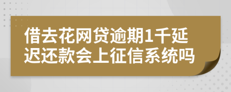 借去花网贷逾期1千延迟还款会上征信系统吗