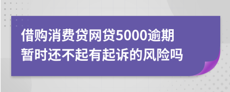 借购消费贷网贷5000逾期暂时还不起有起诉的风险吗