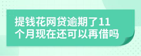 提钱花网贷逾期了11个月现在还可以再借吗