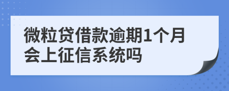 微粒贷借款逾期1个月会上征信系统吗