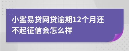小鲨易贷网贷逾期12个月还不起征信会怎么样