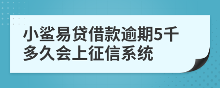 小鲨易贷借款逾期5千多久会上征信系统