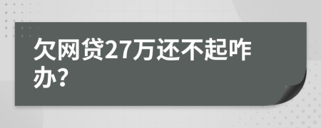 欠网贷27万还不起咋办？