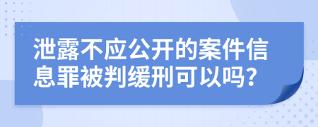 泄露不应公开的案件信息罪被判缓刑可以吗？