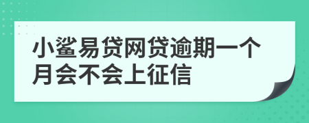 小鲨易贷网贷逾期一个月会不会上征信