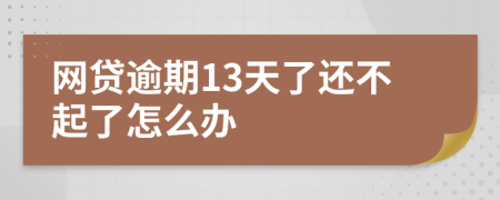 网贷逾期13天了还不起了怎么办