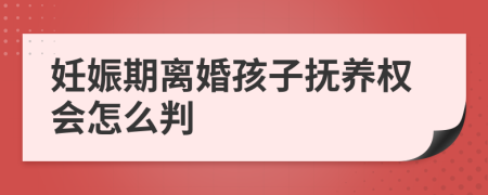 妊娠期离婚孩子抚养权会怎么判
