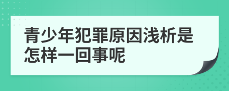 青少年犯罪原因浅析是怎样一回事呢