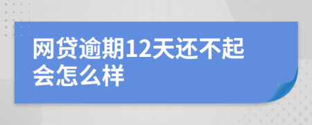 网贷逾期12天还不起会怎么样