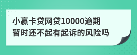 小赢卡贷网贷10000逾期暂时还不起有起诉的风险吗