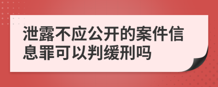 泄露不应公开的案件信息罪可以判缓刑吗