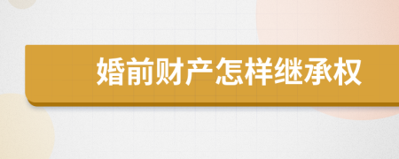 婚前财产怎样继承权