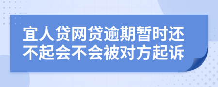 宜人贷网贷逾期暂时还不起会不会被对方起诉