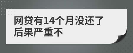 网贷有14个月没还了后果严重不