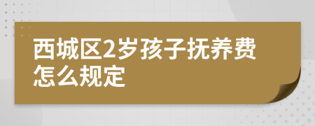 西城区2岁孩子抚养费怎么规定