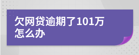 欠网贷逾期了101万怎么办